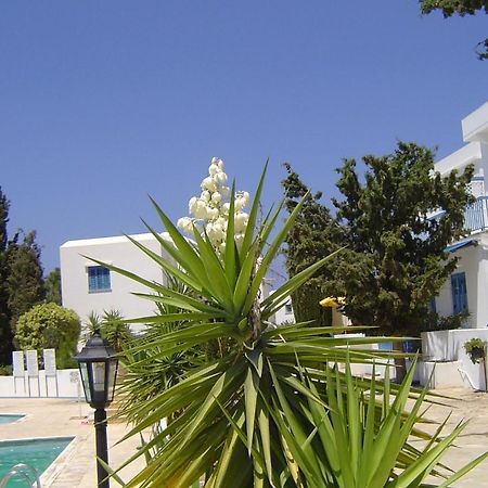 Ikaria Village Maisonette 12 Пафос Экстерьер фото