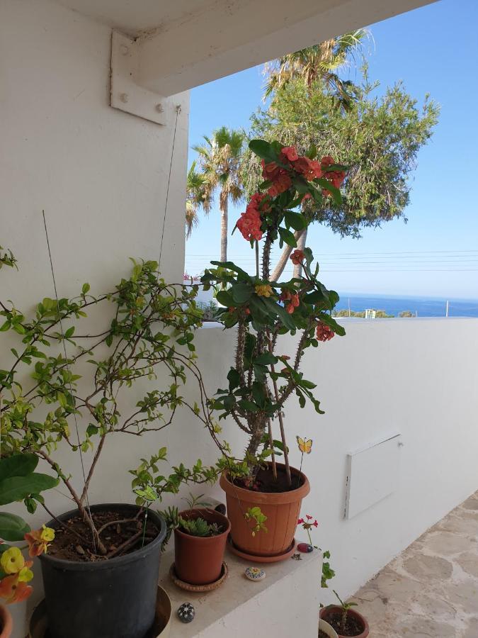 Ikaria Village Maisonette 12 Пафос Экстерьер фото
